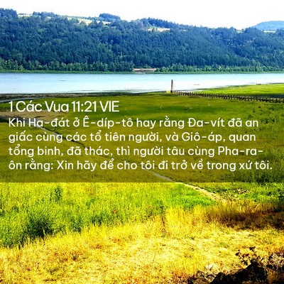 Picture 02 - 1 Các Vua 11:21 VIE - Khi Ha-đát ở Ê-díp-tô hay rằng Đa-vít - Bible Verse Picture