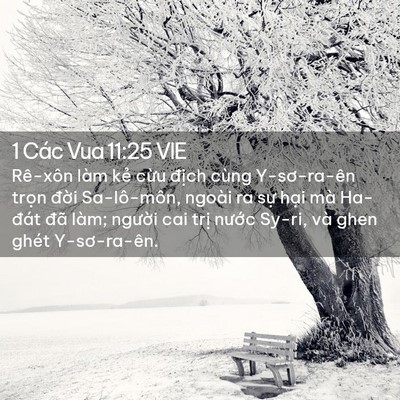 Picture 02 - 1 Các Vua 11:25 VIE - Rê-xôn làm kẻ cừu địch cùng - Bible Verse Picture