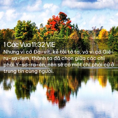 Picture 02 - 1 Các Vua 11:32 VIE - Nhưng vì cớ Đa-vít, kẻ tôi tớ ta, và - Bible Verse Picture