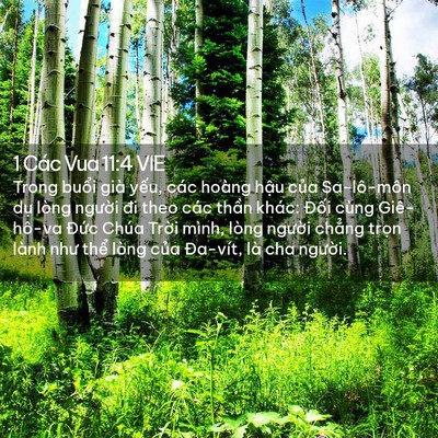 Picture 02 - 1 Các Vua 11:4 VIE - Trong buổi già yếu, các hoàng hậu của - Bible Verse Picture