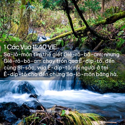 Picture 02 - 1 Các Vua 11:40 VIE - Sa-lô-môn tìm thế giết Giê-rô-bô-am; - Bible Verse Picture