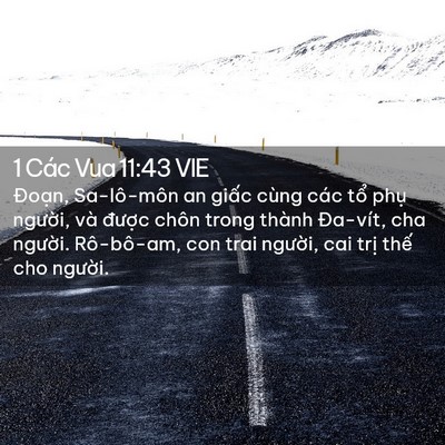 Picture 02 - 1 Các Vua 11:43 VIE - Đoạn, Sa-lô-môn an giấc cùng các tổ - Bible Verse Picture