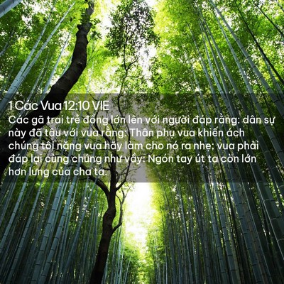 Picture 02 - 1 Các Vua 12:10 VIE - Các gã trai trẻ đồng lớn lên với - Bible Verse Picture