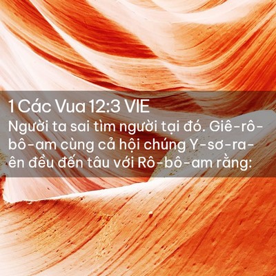 Picture 02 - 1 Các Vua 12:3 VIE - Người ta sai tìm người tại đó. - Bible Verse Picture