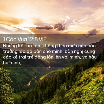 Picture 02 - 1 Các Vua 12:8 VIE - Nhưng Rô-bô-am không theo mưu của các - Bible Verse Picture
