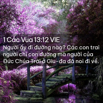 Picture 02 - 1 Các Vua 13:12 VIE - Người ấy đi đường nào? Các con trai - Bible Verse Picture