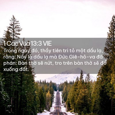 Picture 02 - 1 Các Vua 13:3 VIE - Trong ngày đó, thầy tiên tri tỏ một - Bible Verse Picture