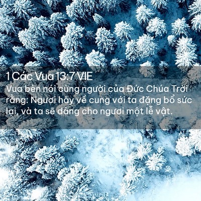 Picture 02 - 1 Các Vua 13:7 VIE - Vua bèn nói cùng người của Đức Chúa - Bible Verse Picture