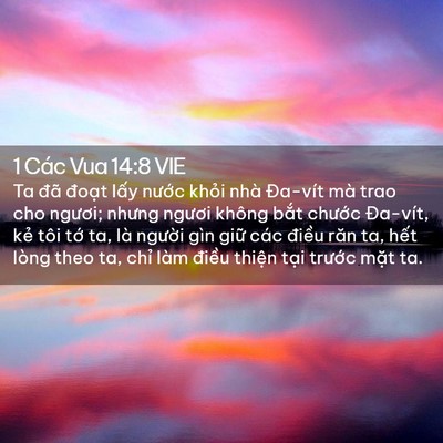 Picture 02 - 1 Các Vua 14:8 VIE - Ta đã đoạt lấy nước khỏi nhà - Bible Verse Picture