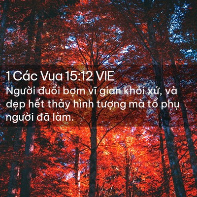 Picture 02 - 1 Các Vua 15:12 VIE - Người đuổi bợm vĩ gian khỏi xứ, và - Bible Verse Picture