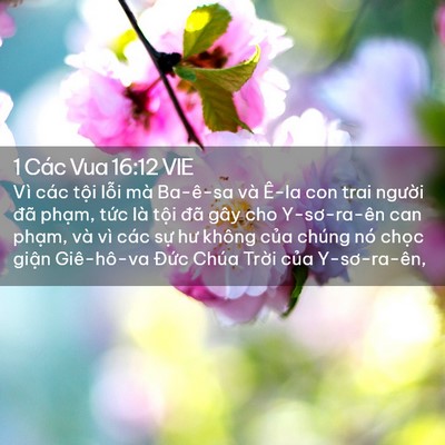 Picture 02 - 1 Các Vua 16:12 VIE - Vì các tội lỗi mà Ba-ê-sa và Ê-la con - Bible Verse Picture