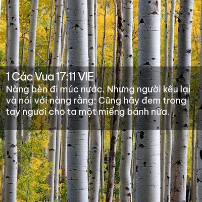 Picture 02 - 1 Các Vua 17:11 VIE - Nàng bèn đi múc nước. Nhưng người kêu - Bible Verse Picture