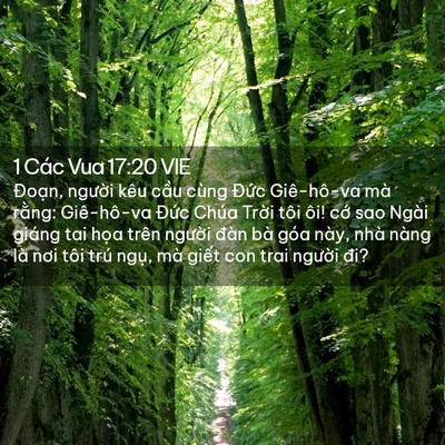 Picture 02 - 1 Các Vua 17:20 VIE - Đoạn, người kêu cầu cùng Đức - Bible Verse Picture