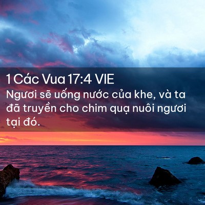 Picture 02 - 1 Các Vua 17:4 VIE - Ngươi sẽ uống nước của khe, và ta - Bible Verse Picture