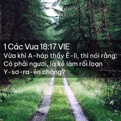 Picture 02 - 1 Các Vua 18:17 VIE - Vừa khi A-háp thấy Ê-li, thì nói rằng: - Bible Verse Picture