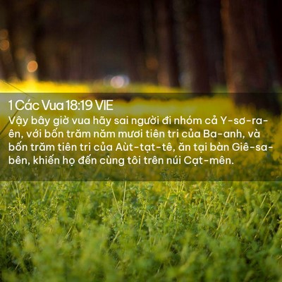 Picture 02 - 1 Các Vua 18:19 VIE - Vậy bây giờ vua hãy sai người đi nhóm - Bible Verse Picture