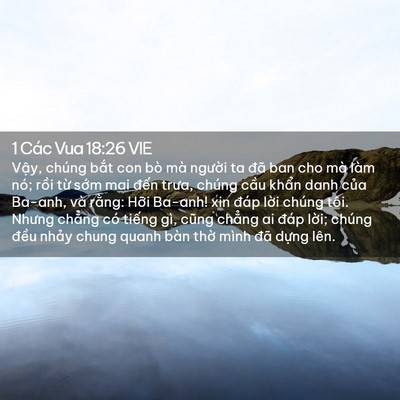 Picture 02 - 1 Các Vua 18:26 VIE - Vậy, chúng bắt con bò mà người ta đã - Bible Verse Picture