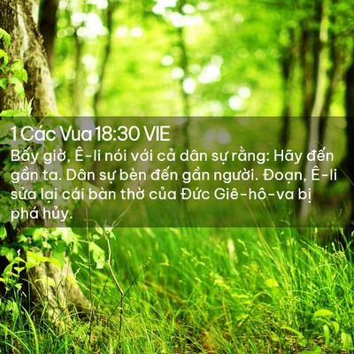 Picture 02 - 1 Các Vua 18:30 VIE - Bấy giờ, Ê-li nói với cả dân sự - Bible Verse Picture