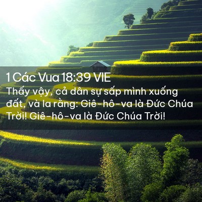 Picture 02 - 1 Các Vua 18:39 VIE - Thấy vậy, cả dân sự sấp mình xuống - Bible Verse Picture