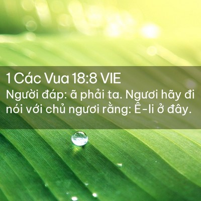 Picture 02 - 1 Các Vua 18:8 VIE - Người đáp: ã phải ta. Ngươi hãy đi - Bible Verse Picture