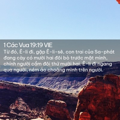 Picture 02 - 1 Các Vua 19:19 VIE - Từ đó, Ê-li đi, gặp Ê-li-sê, con trai - Bible Verse Picture