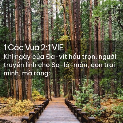 Picture 02 - 1 Các Vua 2:1 VIE - Khi ngày của Đa-vít hầu trọn, người - Bible Verse Picture