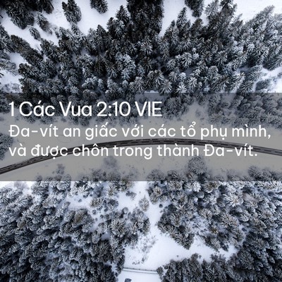 Picture 02 - 1 Các Vua 2:10 VIE - Đa-vít an giấc với các tổ phụ mình, - Bible Verse Picture