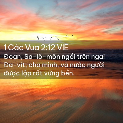 Picture 02 - 1 Các Vua 2:12 VIE - Đoạn, Sa-lô-môn ngồi trên ngai Đa-vít, - Bible Verse Picture