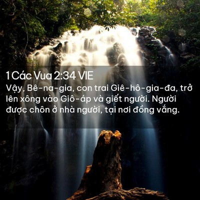 Picture 02 - 1 Các Vua 2:34 VIE - Vậy, Bê-na-gia, con trai Giê-hô-gia-đa, - Bible Verse Picture