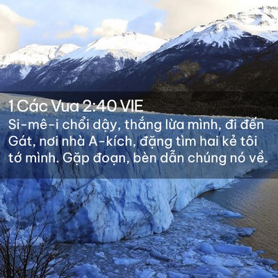 Picture 02 - 1 Các Vua 2:40 VIE - Si-mê-i chổi dậy, thắng lừa mình, đi - Bible Verse Picture