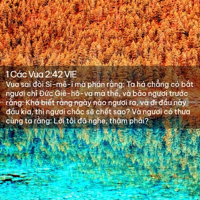 Picture 02 - 1 Các Vua 2:42 VIE - Vua sai đòi Si-mê-i mà phán rằng: Ta há - Bible Verse Picture