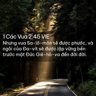 Picture 02 - 1 Các Vua 2:45 VIE - Nhưng vua Sa-lô-môn sẽ được phước, - Bible Verse Picture