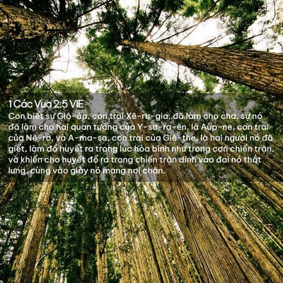 Picture 02 - 1 Các Vua 2:5 VIE - Con biết sự Giô-áp, con trai Xê-ru-gia, - Bible Verse Picture