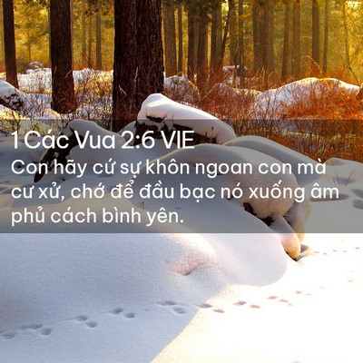 Picture 02 - 1 Các Vua 2:6 VIE - Con hãy cứ sự khôn ngoan con mà cư xử, - Bible Verse Picture