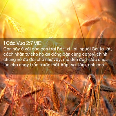 Picture 02 - 1 Các Vua 2:7 VIE - Con hãy ở với các con trai Bát-xi-lai, - Bible Verse Picture