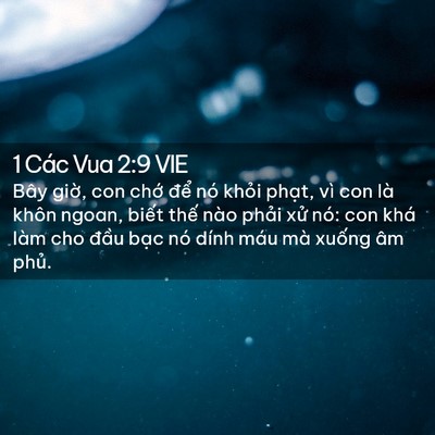 Picture 02 - 1 Các Vua 2:9 VIE - Bây giờ, con chớ để nó khỏi phạt, - Bible Verse Picture