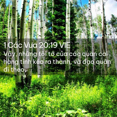 Picture 02 - 1 Các Vua 20:19 VIE - Vậy, những tôi tớ của các quan cai - Bible Verse Picture