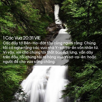 Picture 02 - 1 Các Vua 20:31 VIE - Các đầy tớ Bên-Ha-đát tâu cùng - Bible Verse Picture