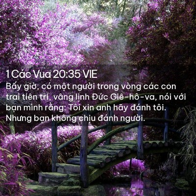 Picture 02 - 1 Các Vua 20:35 VIE - Bấy giờ, có một người trong vòng các - Bible Verse Picture