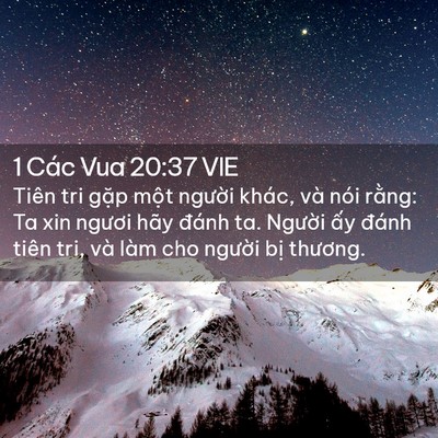 Picture 02 - 1 Các Vua 20:37 VIE - Tiên tri gặp một người khác, và nói - Bible Verse Picture