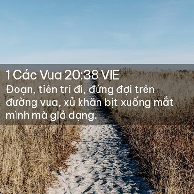 Picture 02 - 1 Các Vua 20:38 VIE - Đoạn, tiên tri đi, đứng đợi trên - Bible Verse Picture