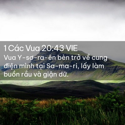 Picture 02 - 1 Các Vua 20:43 VIE - Vua Y-sơ-ra-ên bèn trở về cung điện - Bible Verse Picture