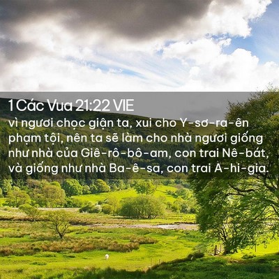 Picture 02 - 1 Các Vua 21:22 VIE - vì ngươi chọc giận ta, xui cho - Bible Verse Picture