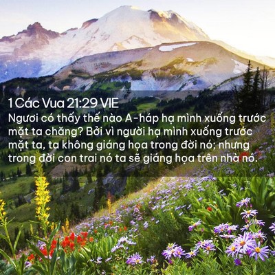 Picture 02 - 1 Các Vua 21:29 VIE - Ngươi có thấy thế nào A-háp hạ mình - Bible Verse Picture