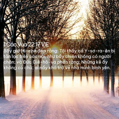 Picture 02 - 1 Các Vua 22:17 VIE - Bấy giờ Mi-chê đáp rằng: Tôi thấy - Bible Verse Picture