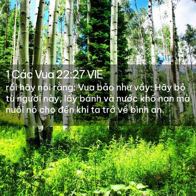 Picture 02 - 1 Các Vua 22:27 VIE - rồi hãy nói rằng: Vua bảo như vầy: - Bible Verse Picture