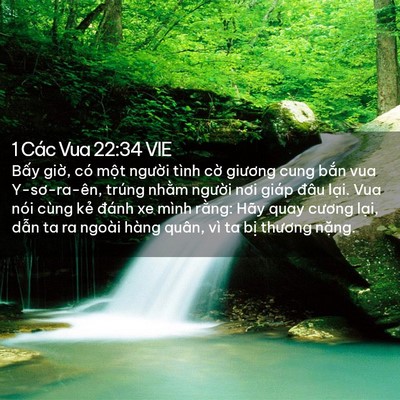 Picture 02 - 1 Các Vua 22:34 VIE - Bấy giờ, có một người tình cờ - Bible Verse Picture