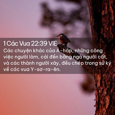 Picture 02 - 1 Các Vua 22:39 VIE - Các chuyện khác của A-háp, những công - Bible Verse Picture