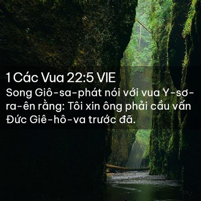 Picture 02 - 1 Các Vua 22:5 VIE - Song Giô-sa-phát nói với vua Y-sơ-ra-ên - Bible Verse Picture