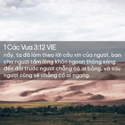 Picture 02 - 1 Các Vua 3:12 VIE - nầy, ta đã làm theo lời cầu xin của - Bible Verse Picture